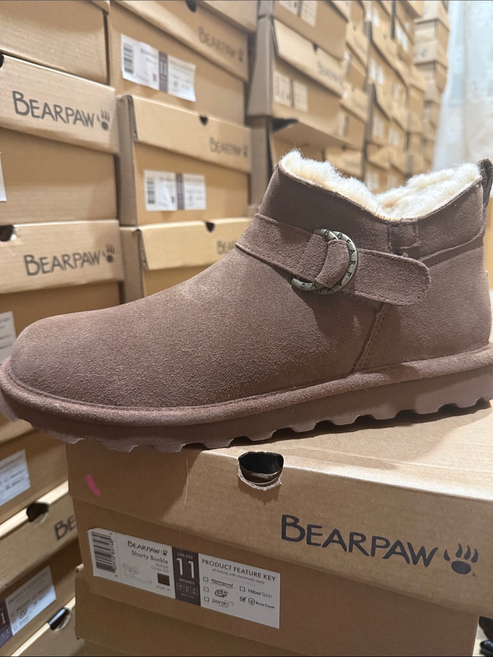 Bearpaw Shorty Buckle Cocoa